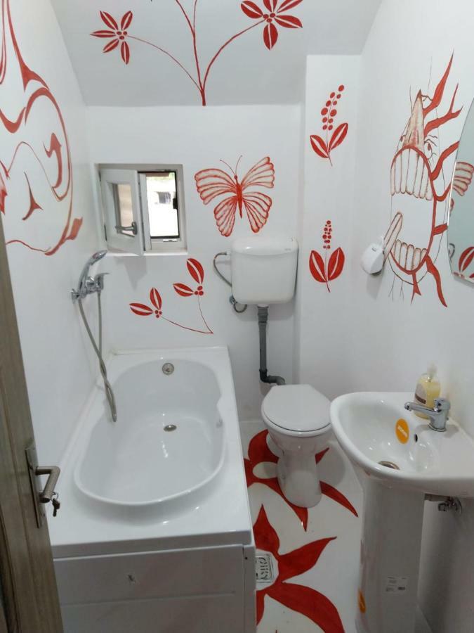 באיילה הרקולנדה Casa Milos Si Fiul מראה חיצוני תמונה
